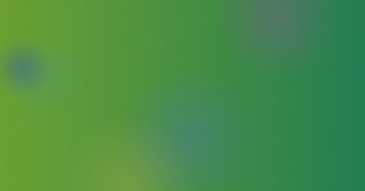日本不卡网攻略：选法对比
